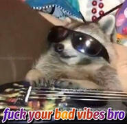 I'm kin with this raccoon specifically